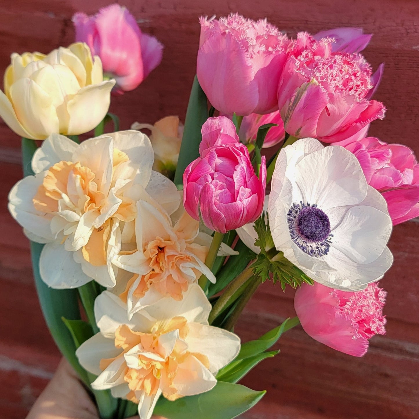 Spring Subscription