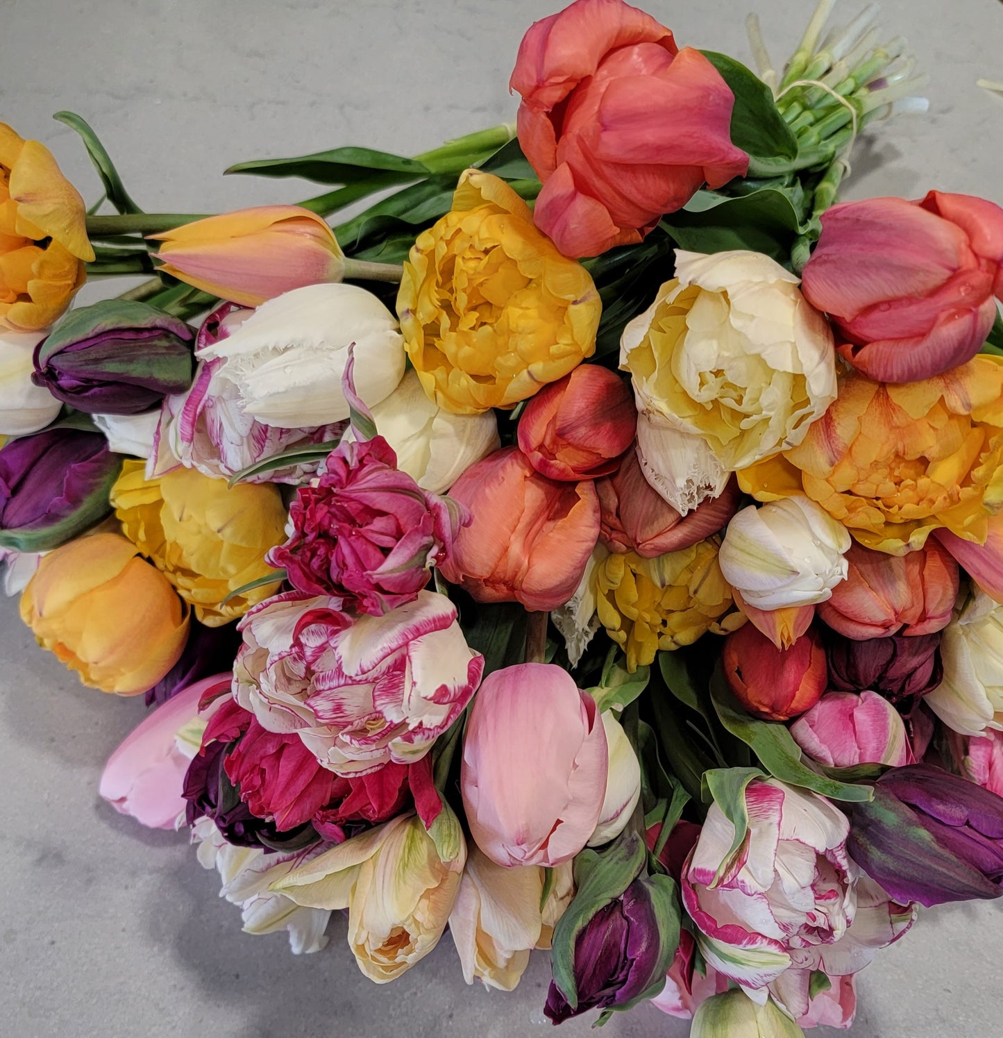 Spring Subscription